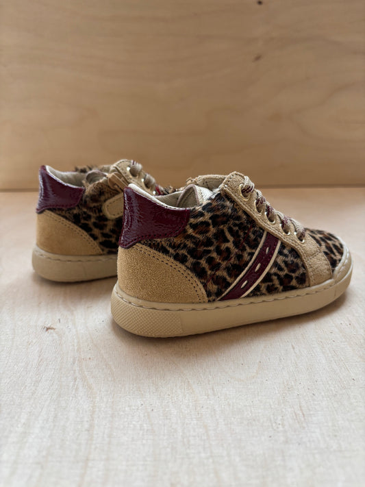 Falcotto eerste stap sneakertje tiny leo