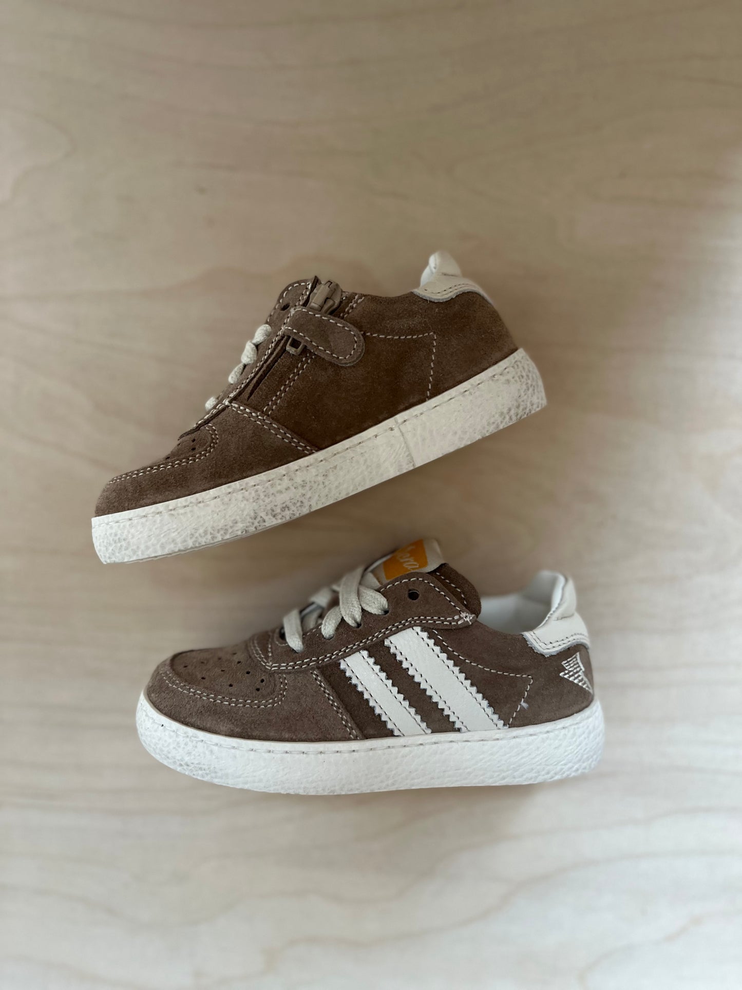 harry sneaker - tabacco