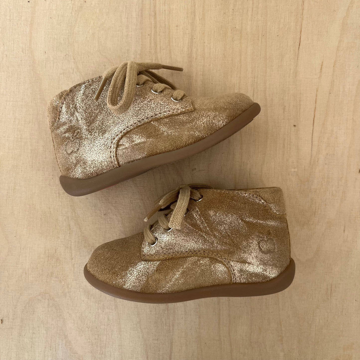 stand up - curry biscuit shiny