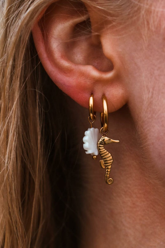 Shelly hoop gold