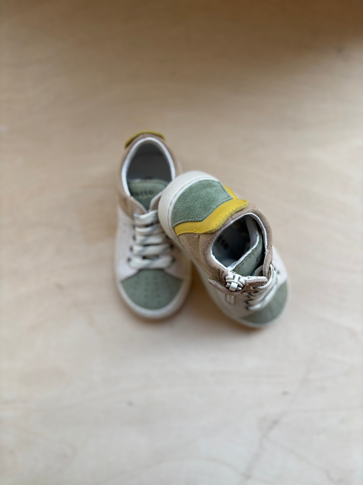 Falcotto sneaker leaf milk sand suede