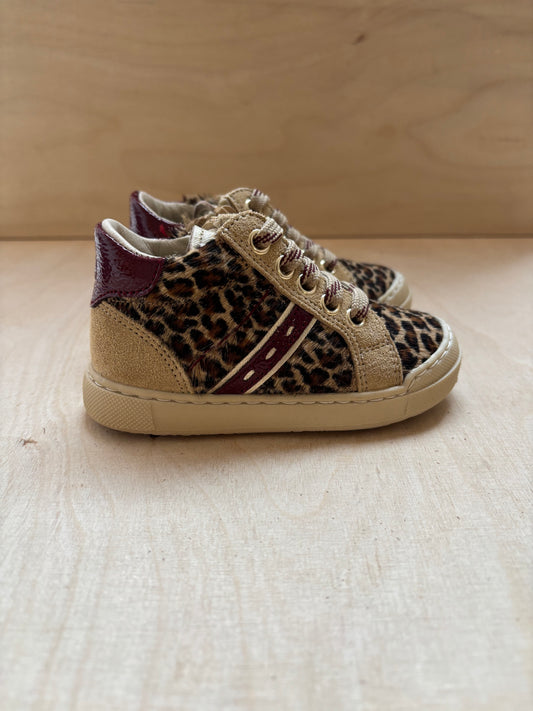 Falcotto eerste stap sneakertje tiny leo
