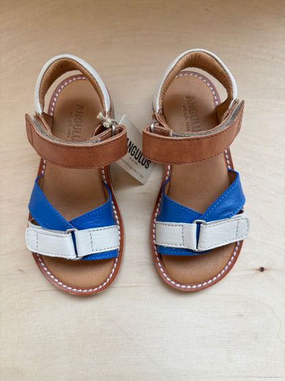 Angulus sandaal multi colour