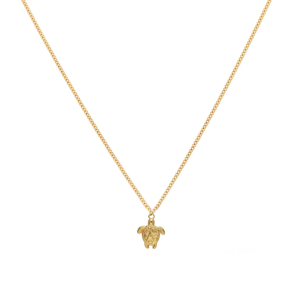 Ketting met schildpad