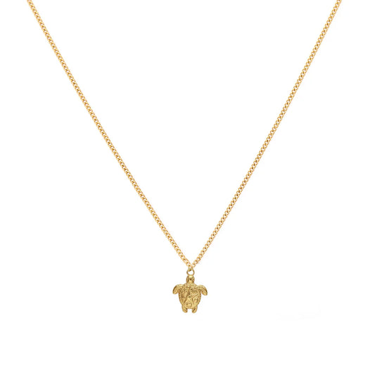 Ketting met schildpad